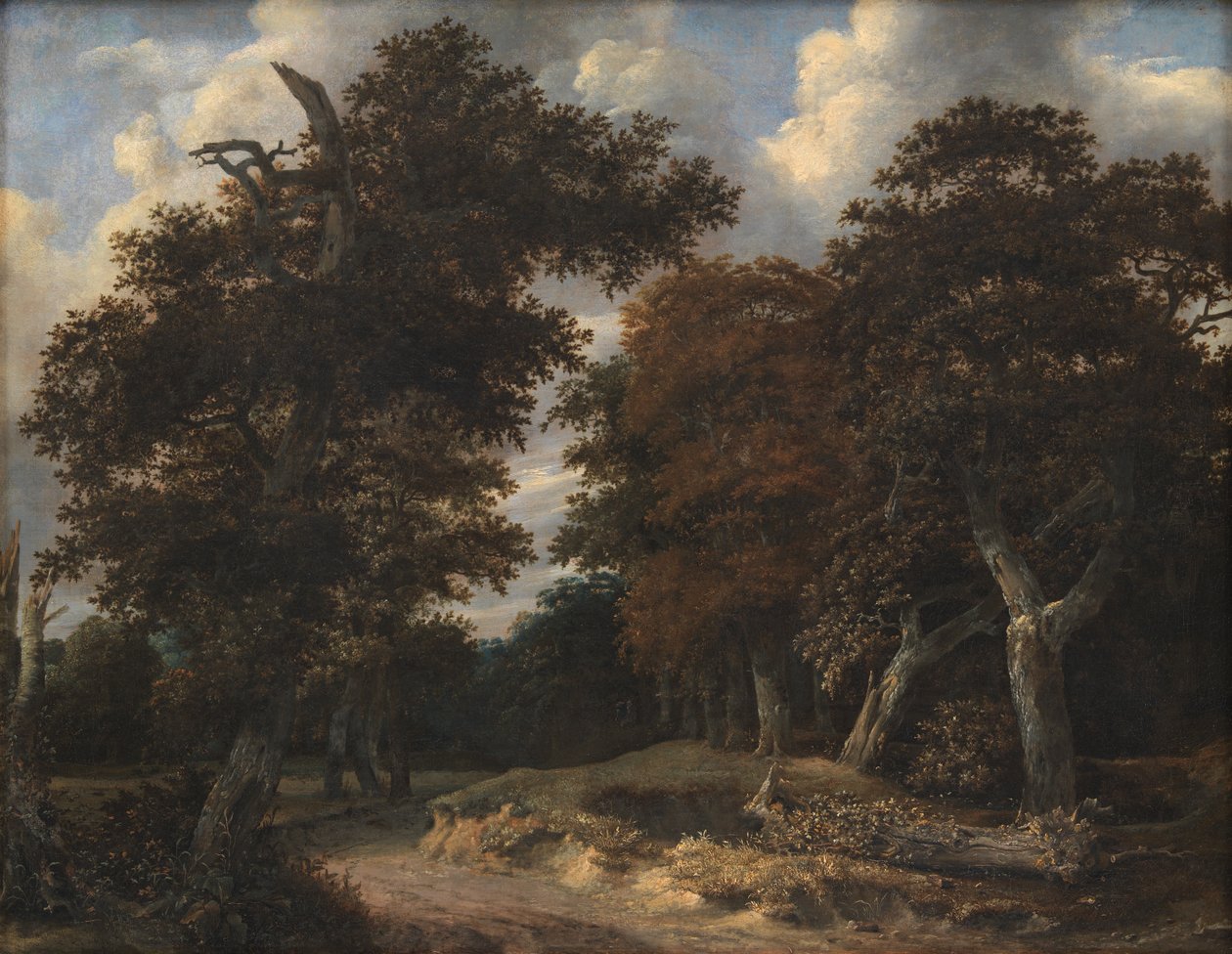 Tie tammimetsän läpi tekijältä Jacob van Ruisdael