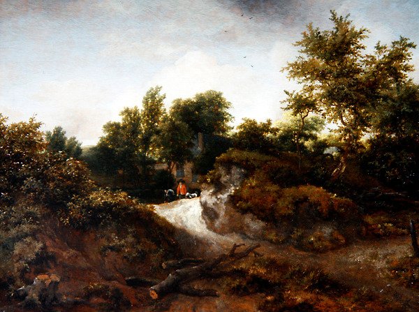 Metsäinen dyynimaisema (öljy paneelille) tekijältä Jacob van Ruisdael