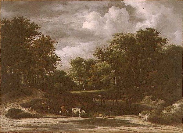 Metsämaisema (öljy kankaalle) tekijältä Jacob van Ruisdael