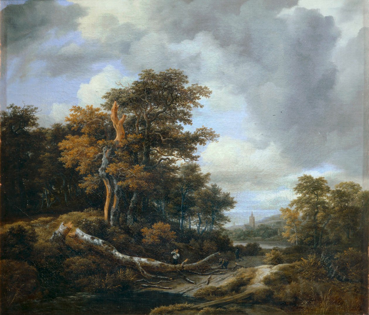 Sisäänkäynti puun ... tekijältä Jacob Isaaksz. or Isaacksz. van Ruisdael