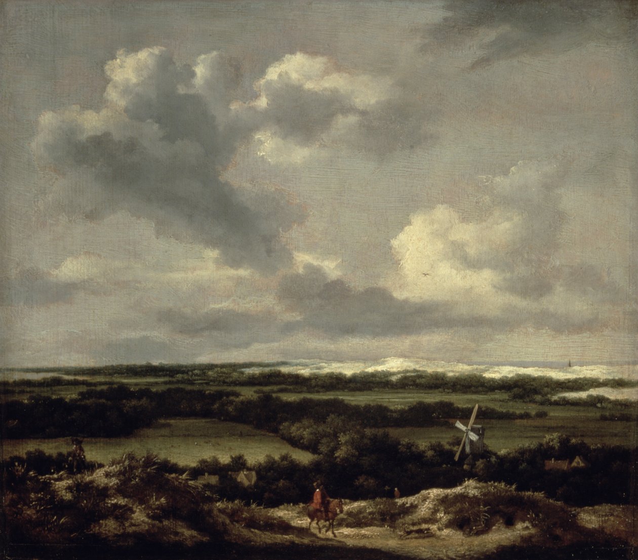 Maisema dyynien kanssa lähellä Haarlemia (öljy kankaalle) tekijältä Jacob van Ruisdael