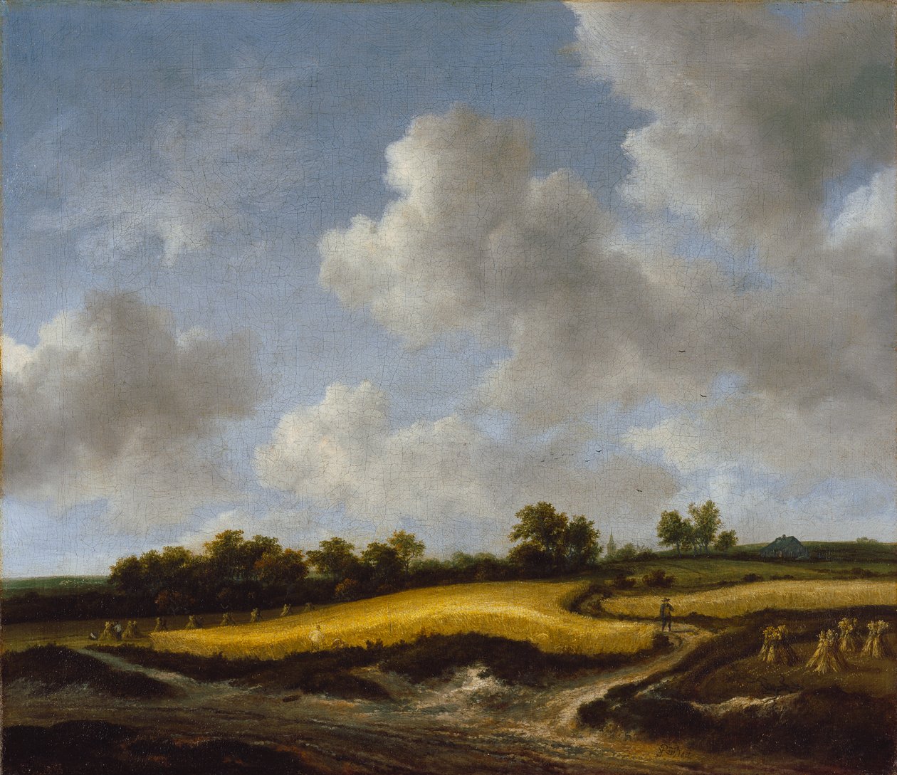 Maisema vehnäpellolla, noin 1660 tekijältä Jacob van Ruisdael