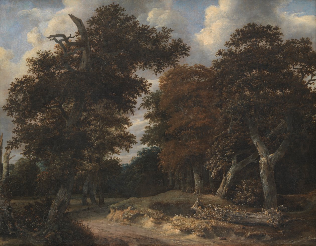 Tie tammimetsän läpi tekijältä Jacob van Ruisdael