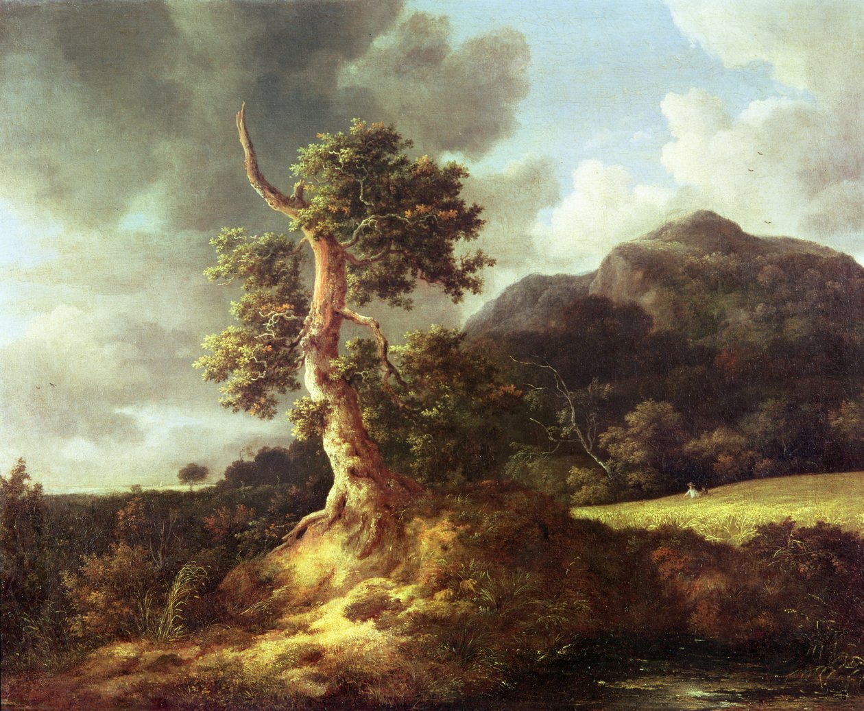Tuntematon kuva tekijältä Jacob van Ruisdael