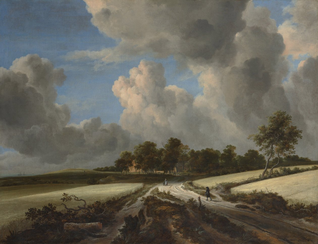 Wheat Fields, n. 1670 (öljy kankaalle) tekijältä Jacob van Ruisdael