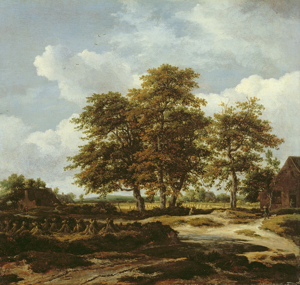 Metsäinen maisemakuva maissipeltoineen, noin 1655-60 (öljy kankaalle). tekijältä Jacob Isaaksz. or Isaacksz. van Ruisdael