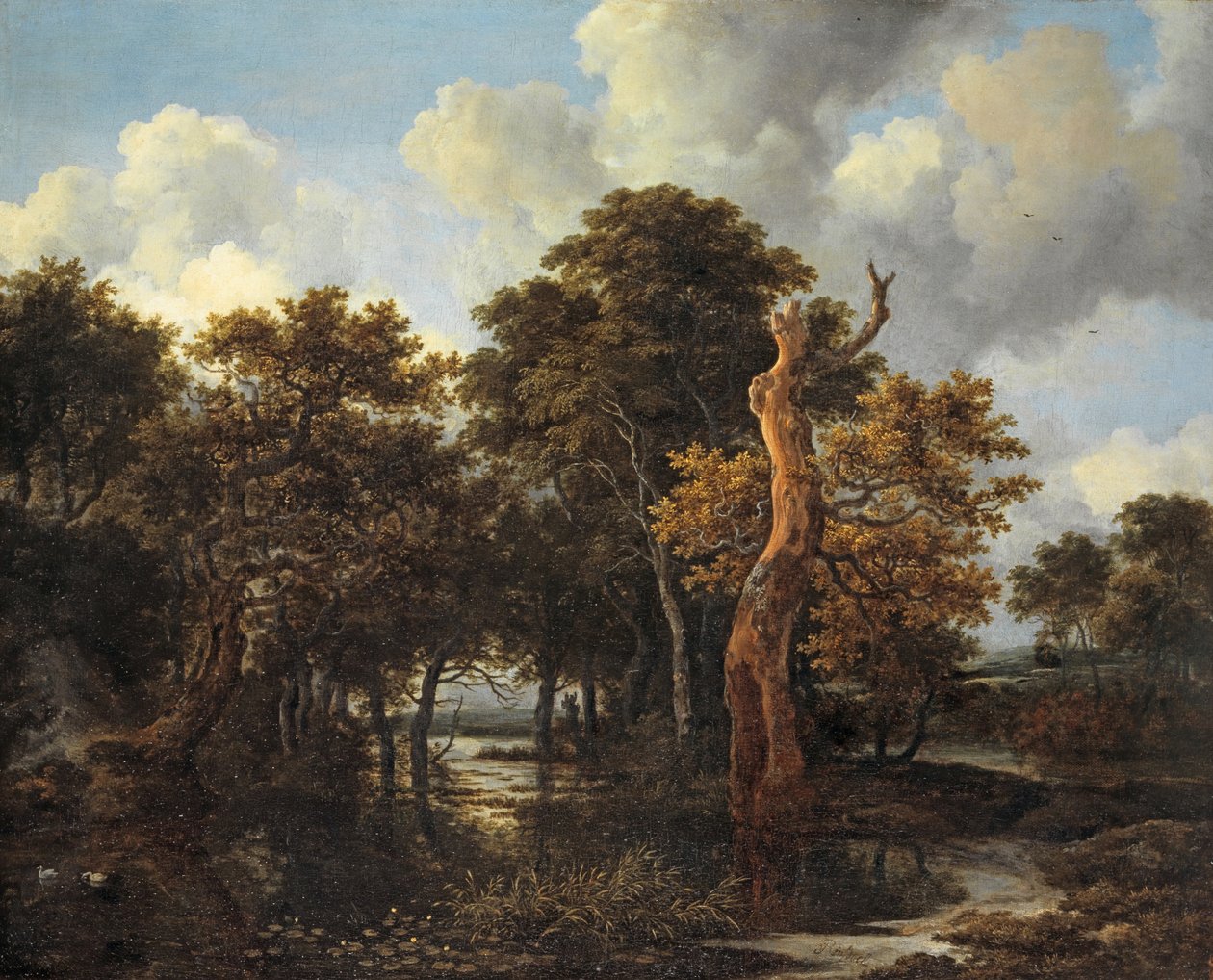 Puinen suomaisema kuolleella puulla, n. 1665 tekijältä Jacob van Ruisdael