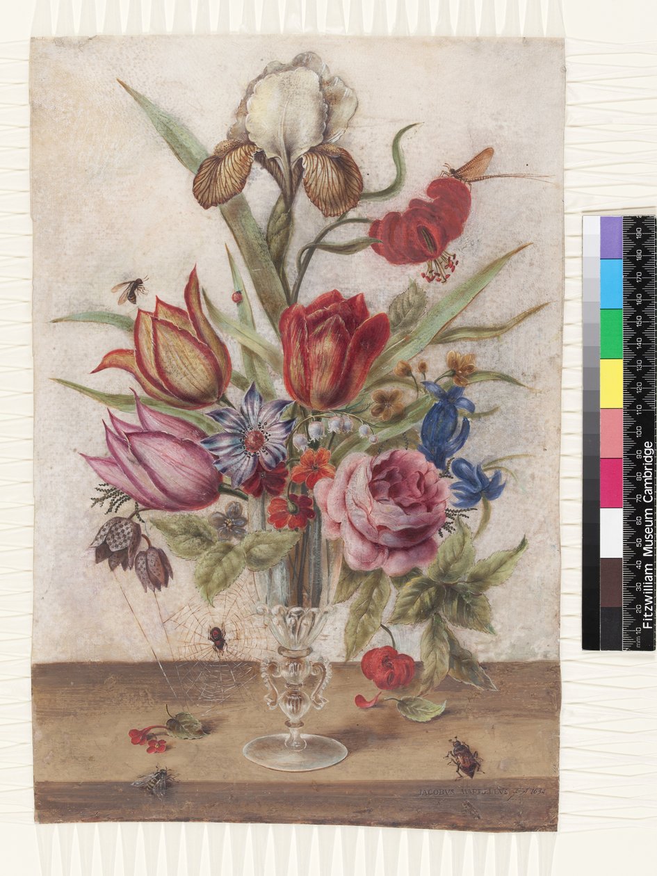 Venetsialainen lasikuppi sisältää tulppaaneja, ruusuja, anemoneja, gentiana, fritillarya, iirisvarigattia, lilium chalcedonicum maybug, may-fly, kielo ja primula tekijältä Jacob Marrel