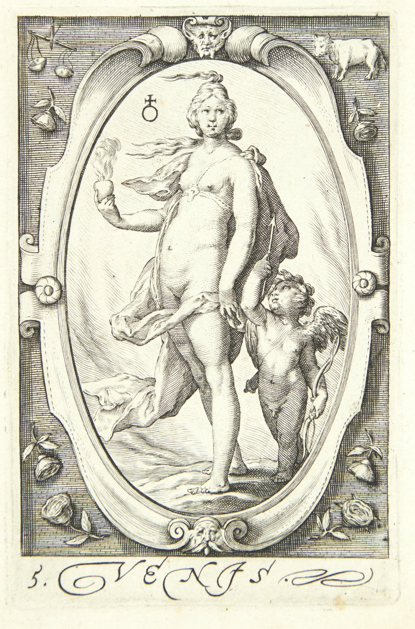 Venus tekijältä Jacob Matham