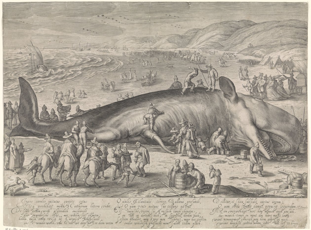 Valas jumissa Berckheyssä, 1598 tekijältä Jacob Matham