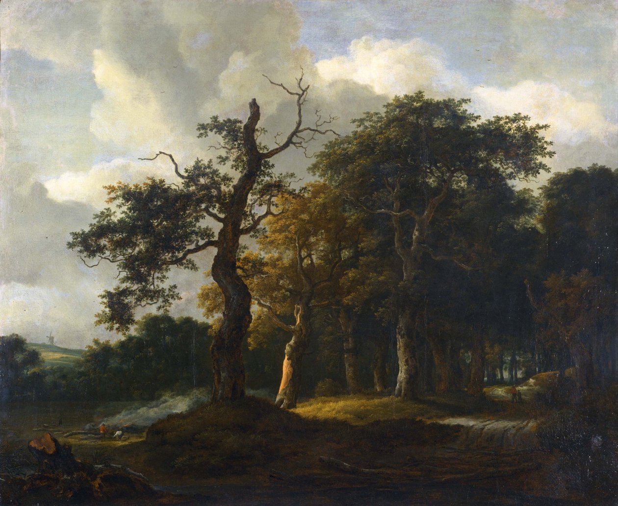 Tie tammimetsän läpi tekijältä Jacob van Ruisdael