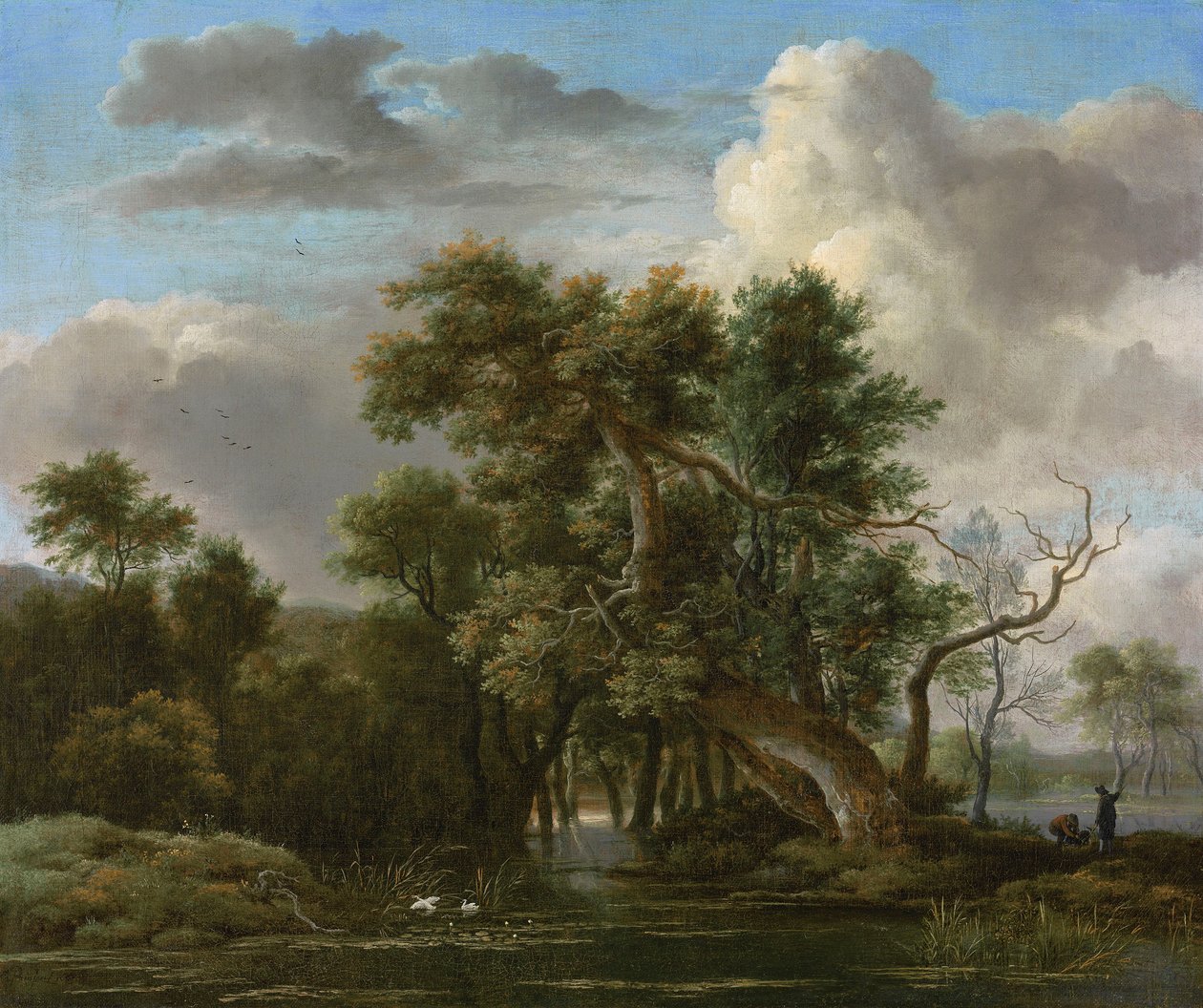 Metsäalueiden uima-allas tekijältä Jacob van Ruisdael
