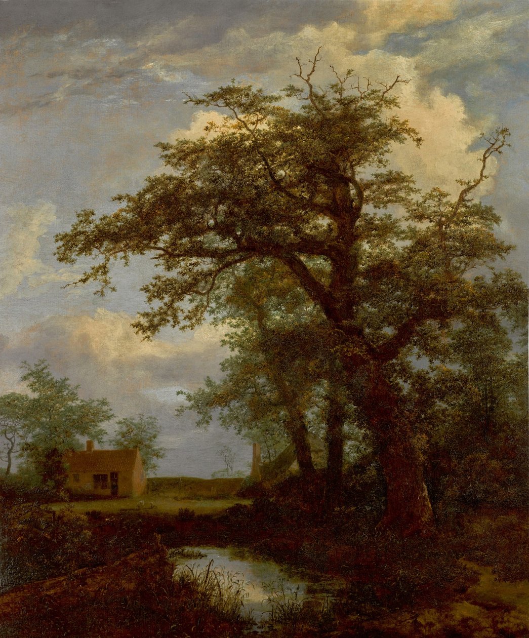 Metsäinen maisema, jossa on tammi, lampi ja taloja sen takana. tekijältä Jacob van Ruisdael