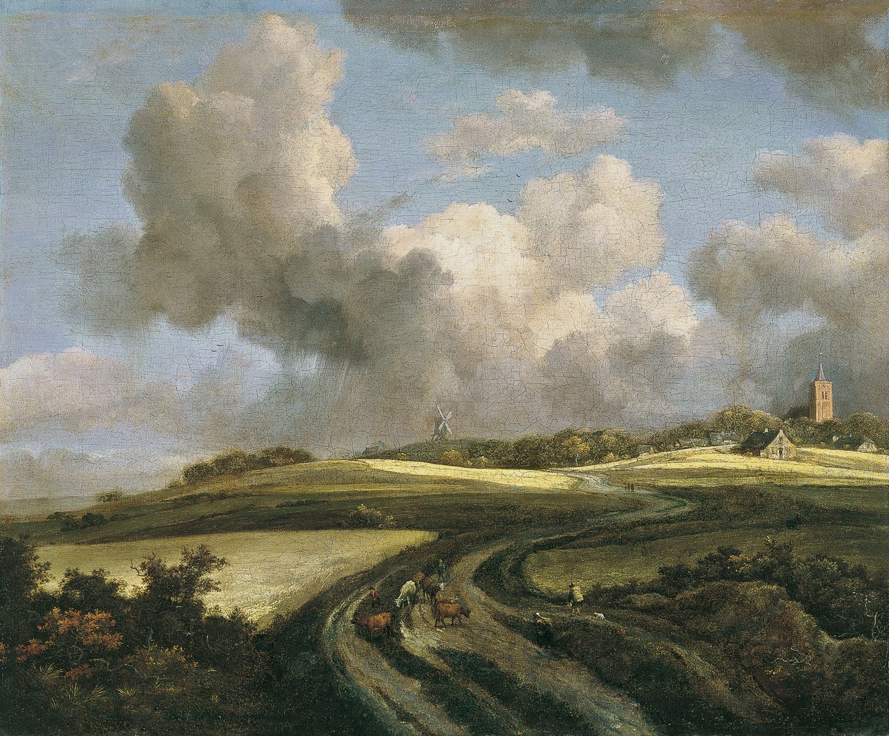 Polku vehnäpeltojen halki Zuider Zeen lähellä tekijältä Jacob van Ruisdael