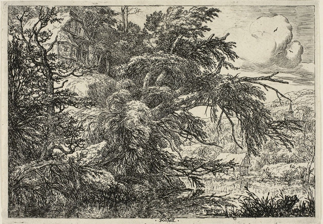 Mökki kukkulan huipulla tekijältä Jacob van Ruisdael