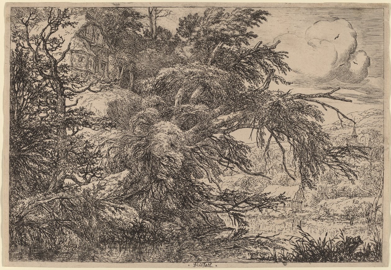 Mökki kukkulalla tekijältä Jacob van Ruisdael