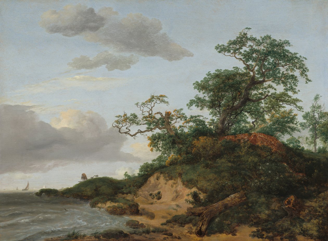 Dyynit meren rannalla, 1648. tekijältä Jacob van Ruisdael