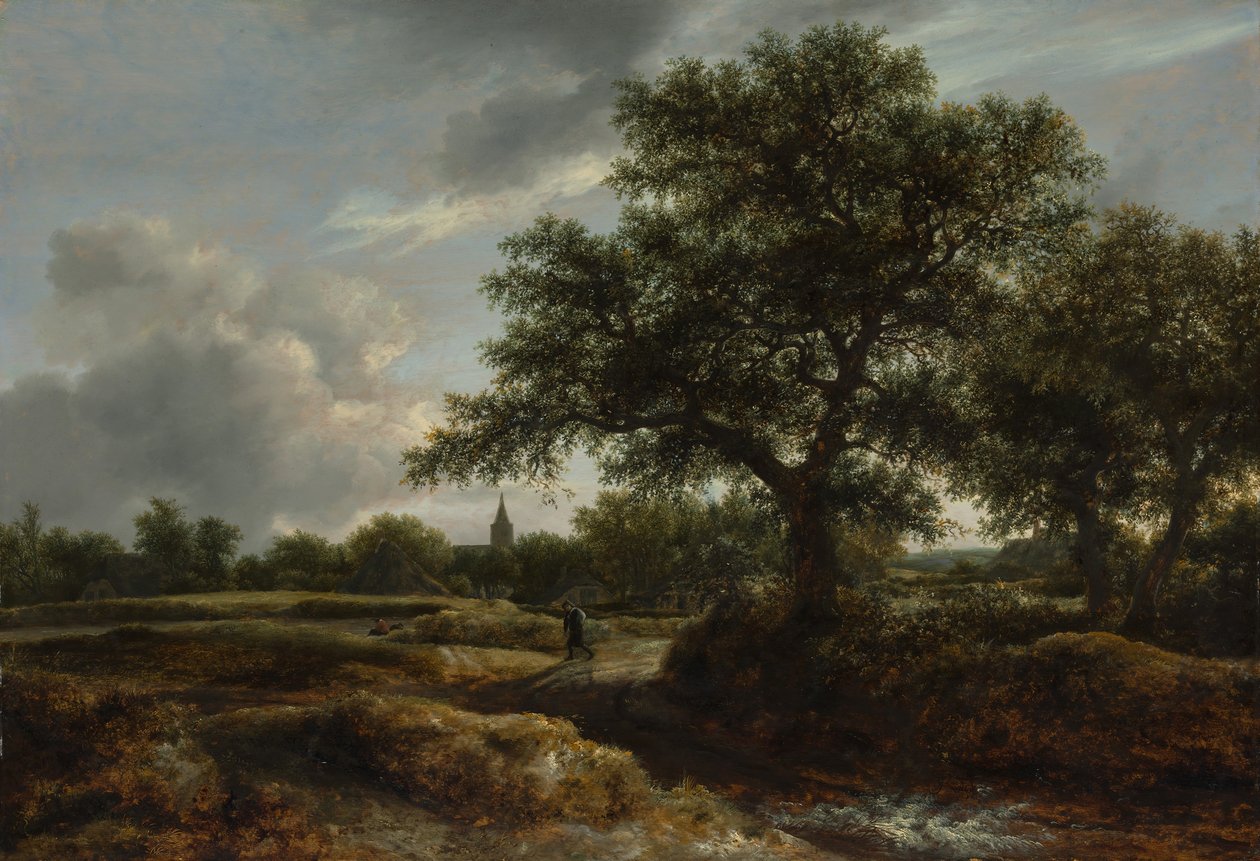 Maisema ja kylä kaukana, 1646. tekijältä Jacob van Ruisdael
