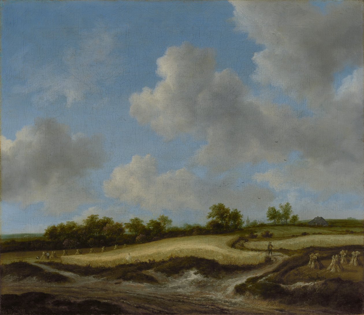 Maisema ja vehnäpelto tekijältä Jacob van Ruisdael