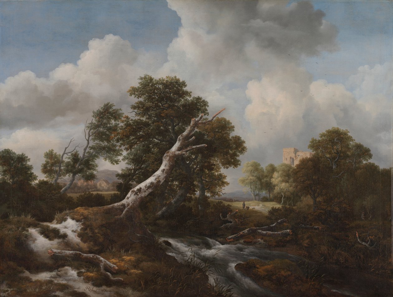 Matala vesiputous metsäisessä maisemassa, jossa on kuollut pyökki tekijältä Jacob van Ruisdael