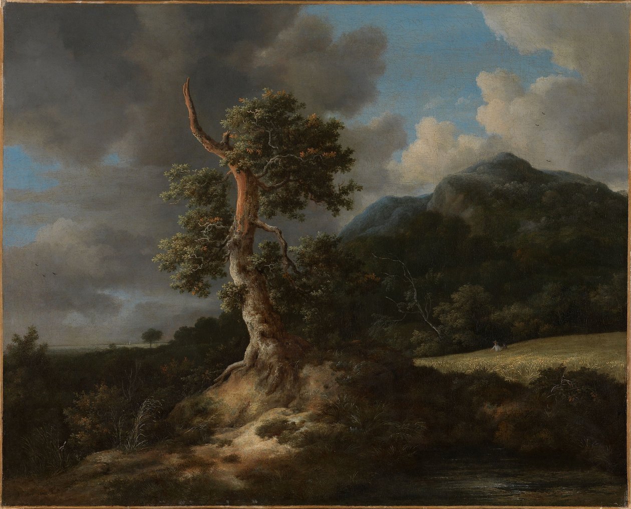 Vuoristoinen maisema, jossa on räjäytetty tammi tekijältä Jacob van Ruisdael