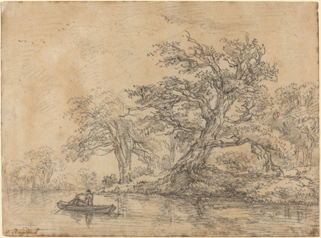 Vanhat puut pankin varrella tekijältä Jacob van Ruisdael
