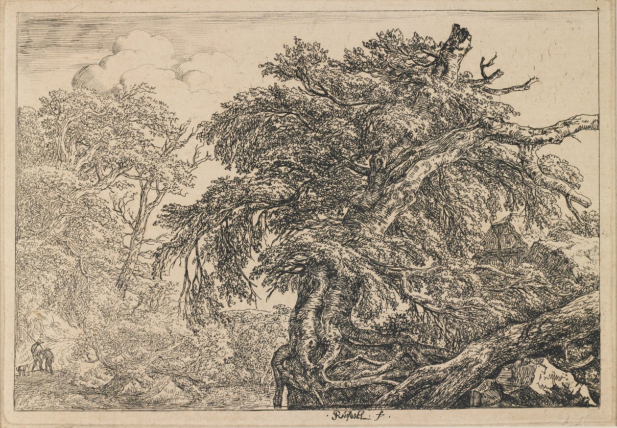 Suuri pyökki, kaksi miestä ja koira tekijältä Jacob van Ruisdael