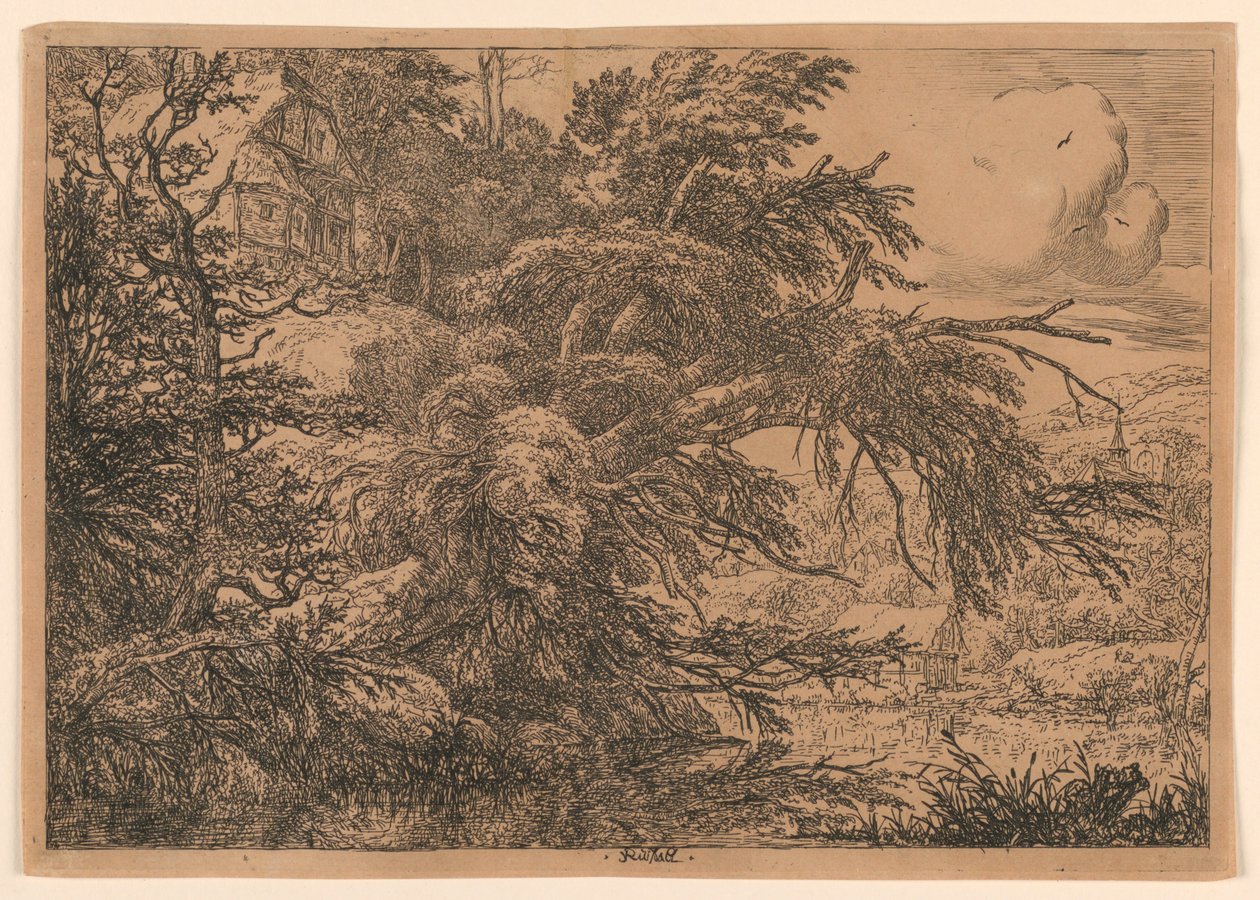 Olkikattoinen mökki kukkulalla tekijältä Jacob van Ruisdael