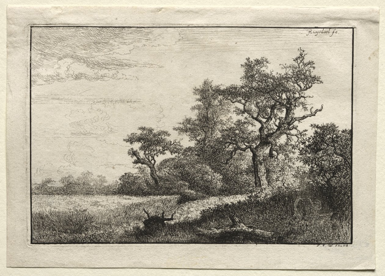 Vehnäpelto tekijältä Jacob van Ruisdael
