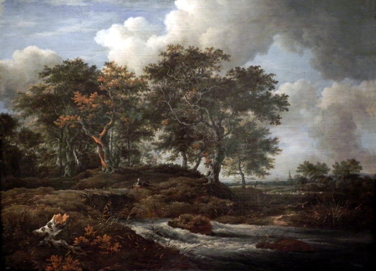 Vuolas puro ja tammia tekijältä Jacob van Ruisdael