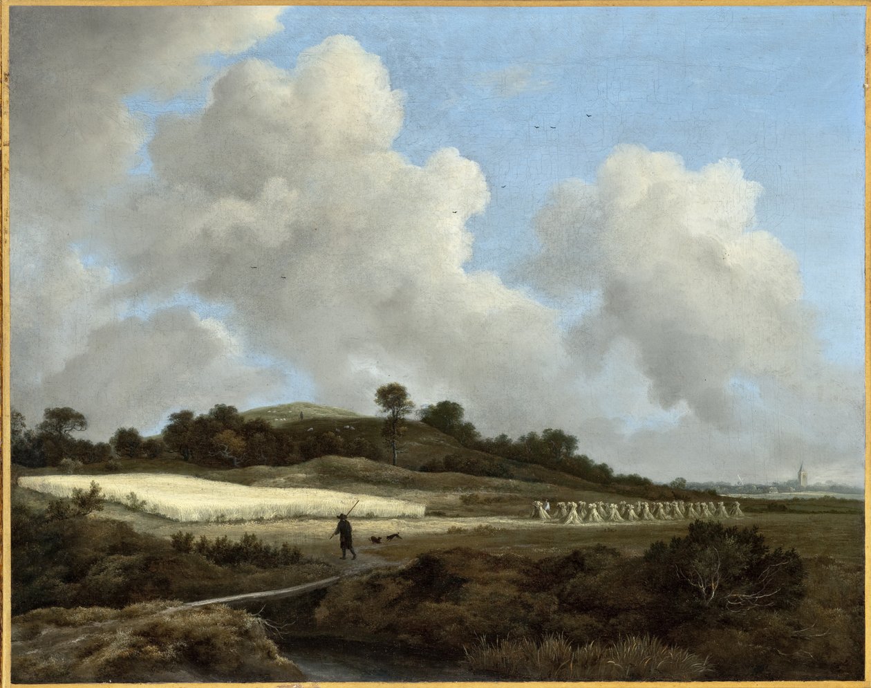 Näkymä viljapelloille ja kaukaiseen kaupunkiin tekijältä Jacob van Ruisdael