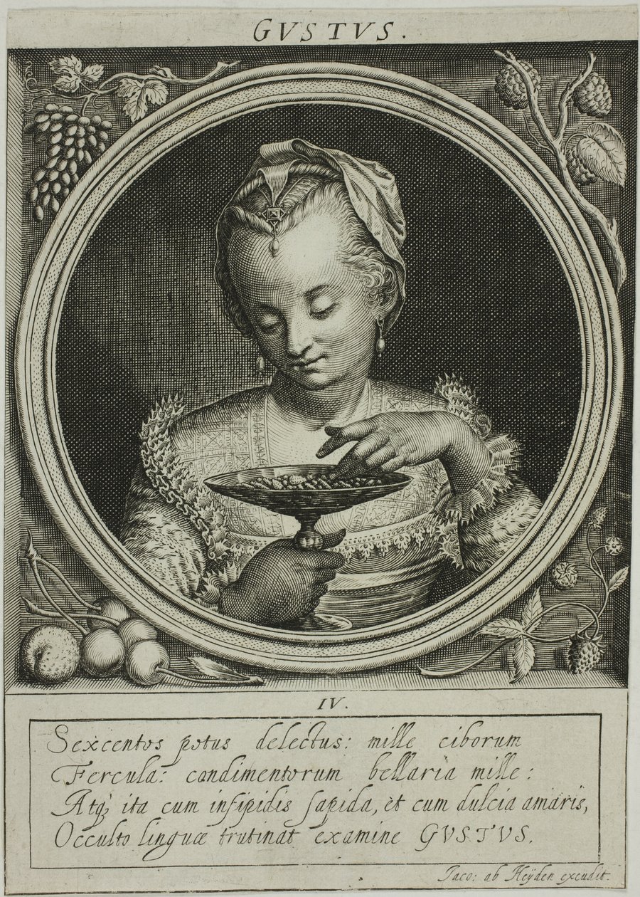 Maku, levy neljä sarjasta The Five Senses (Viisi aistia) tekijältä Jacob van der Heyden