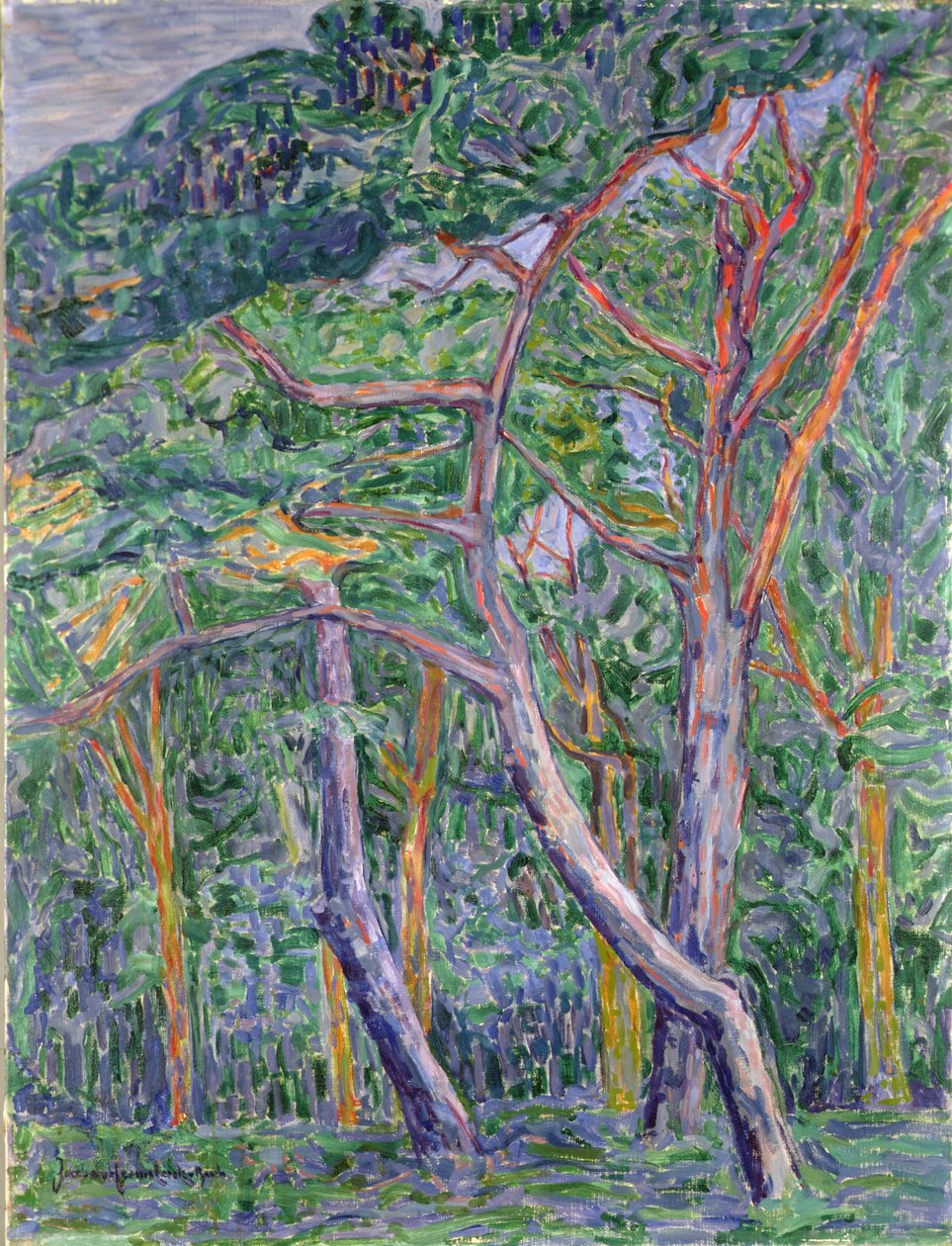 Mäntypuut tekijältä Jacoba van Heemskerck