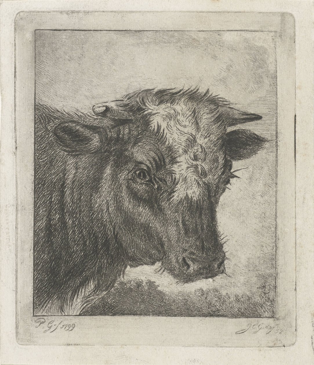Cap de vaca amb acabat de cul blanc tekijältä Jacobus Cornelis Gaal