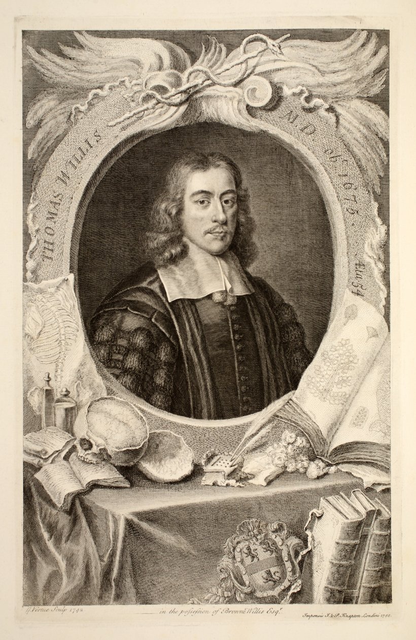 Thomas Willisin muotokuva, kuvitus teoksesta "Heads of Illustrious Persons of Great Britain", julkaisija Knapton, Lontoo 1742. tekijältä Jacobus Houbraken
