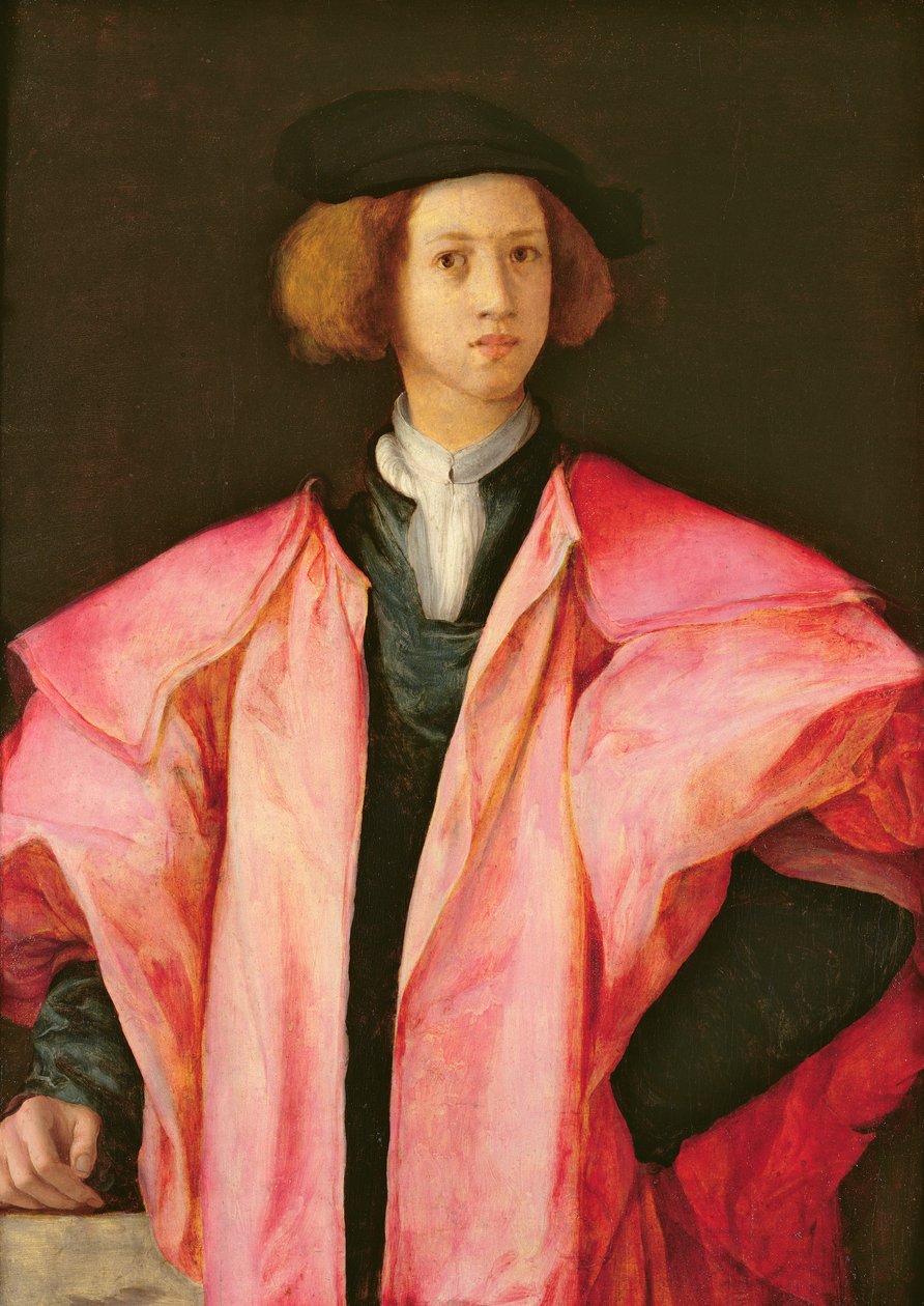 Nuoren miehen muotokuva tekijältä Jacopo Pontormo
