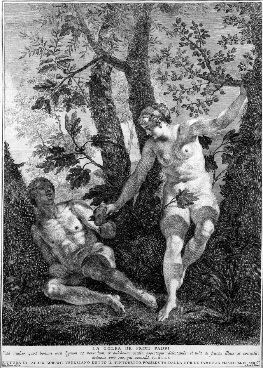 Adam ja Eeva, kaiverrus Pietro Monaco, n. 1741-52 tekijältä Jacopo Robusti Tintoretto