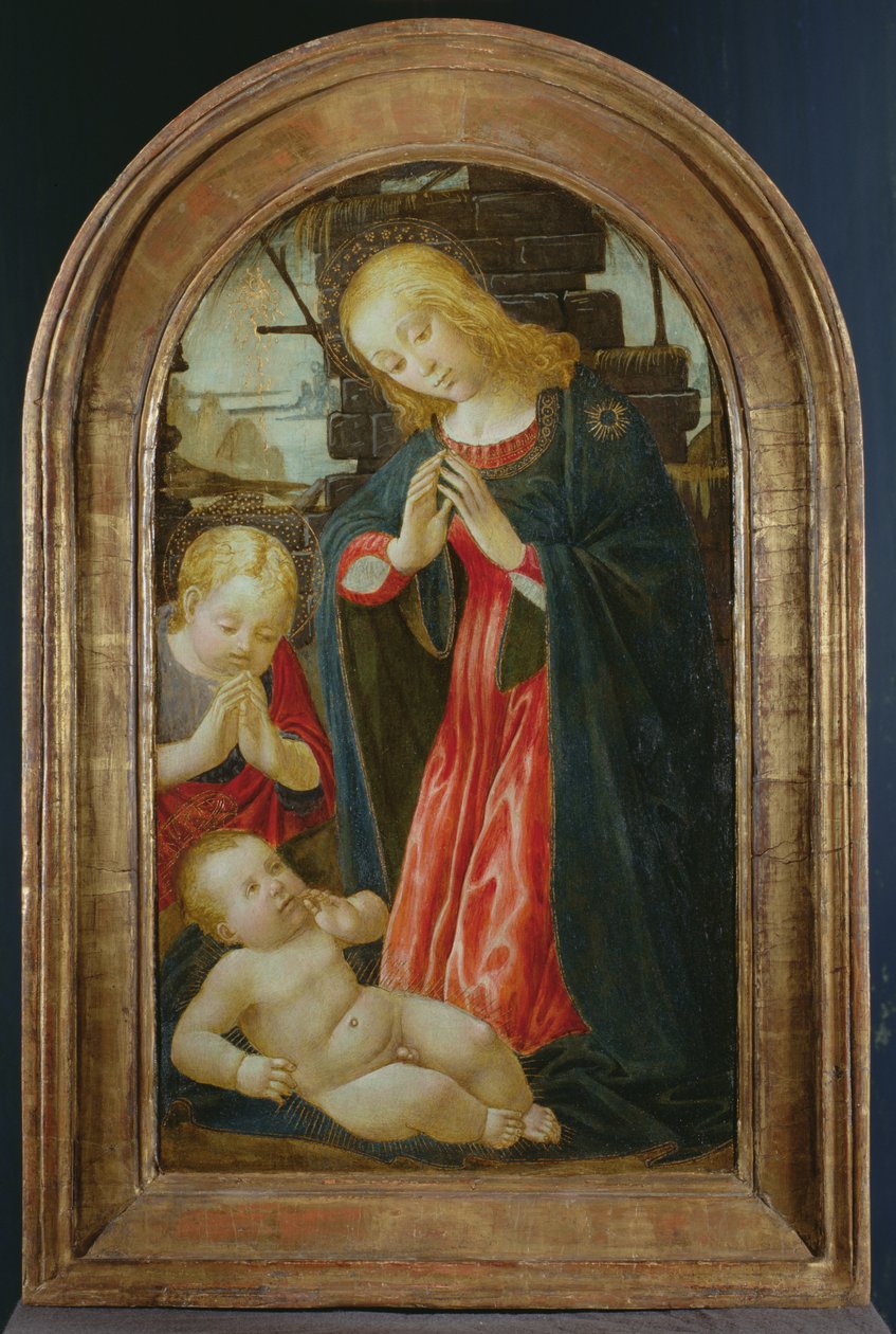 Madonna ja lapsi vauvan Pyhän Johannes Kastajan kanssa (tempera paneelissa) tekijältä Jacopo del Sellaio