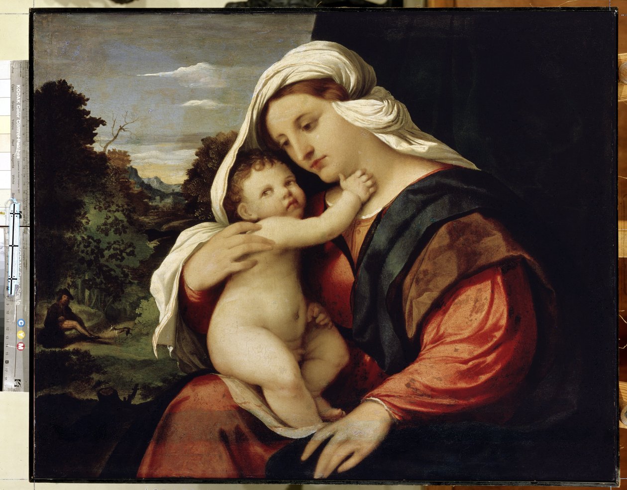 Neitsyt ja lapsi. Jacopo Palma il Vecchion maalaus (Vanha tai vanhin tekijältä Jacopo (c.1480 1528) Palma