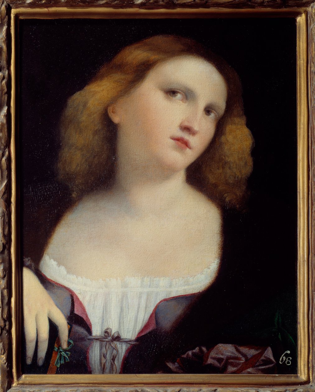 Naisen muotokuva Jacopo Palma il Vecchion (1480-1528) kankaalle transponoitu puumaalaus 1513 Dim. 0,48 x 0,38 m Lyon, Musee des Beaux Arts tekijältä Jacopo (c.1480 1528) Palma
