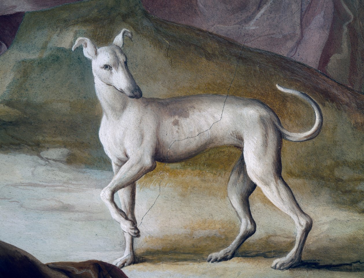 Koira, yksityiskohta Jacopo Guaranan (1720-1808) freskosta, Villa Contarinin keskussali, Valnogaredo, Veneto, Italia tekijältä Jacopo Guarana