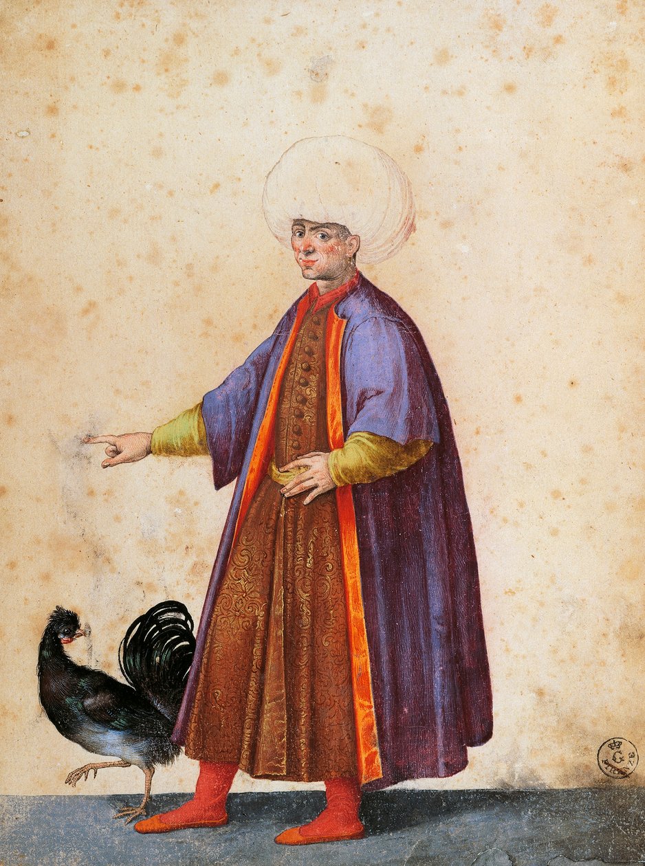 Turkkilainen turbaani, piirustus Jacopo Ligozzi (1547-1627) tekijältä Jacopo Ligozzi
