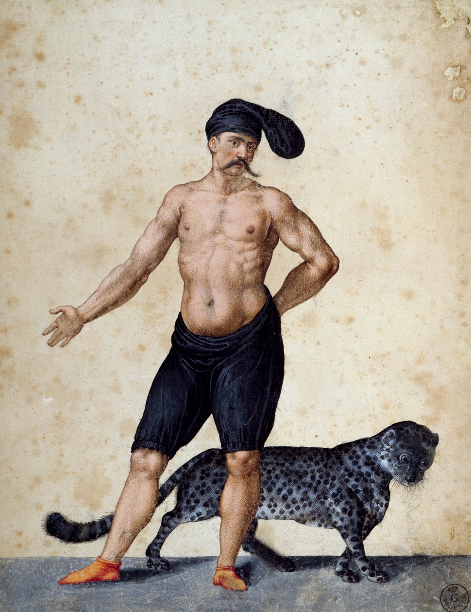 Nuori afrikkalainen mies seisoo edessä, puolipukeutunut pitkä berretta (lippis) päässä, tiikeri takana, piirros Jacopo Ligozzi (1547-1627) tekijältä Jacopo Ligozzi