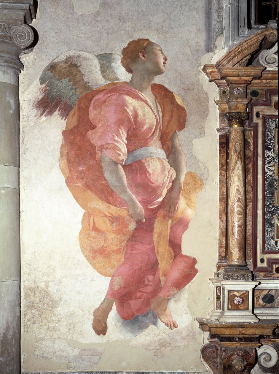 Ilmoitus. Yksityiskohta enkelistä - fresko tekijältä Jacopo Pontormo
