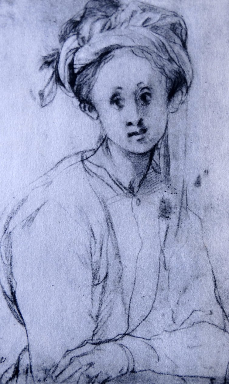 Pontormon liitupiirustus "Nuoren tytön tutkimus". tekijältä Jacopo Pontormo