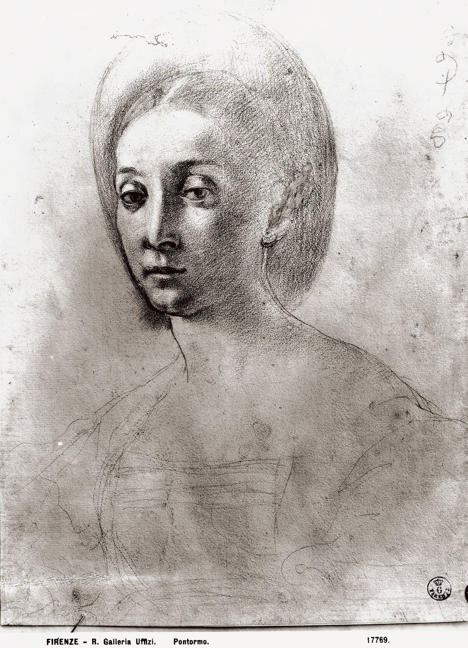 Naisen pää (liitu paperille) tekijältä Jacopo Pontormo