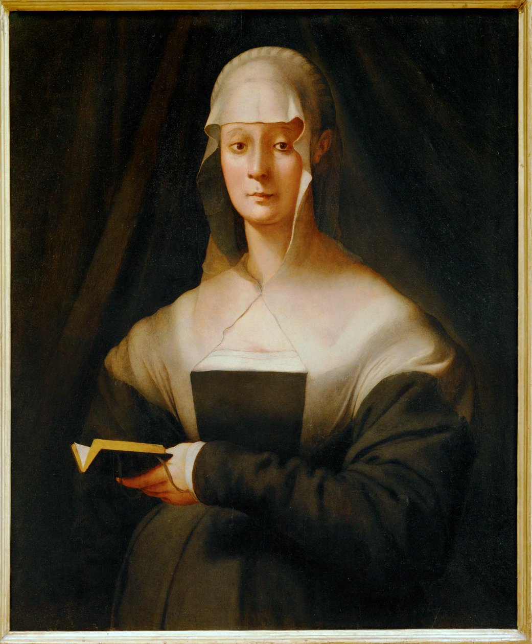 Maria Salviati tekijältä Jacopo Pontormo