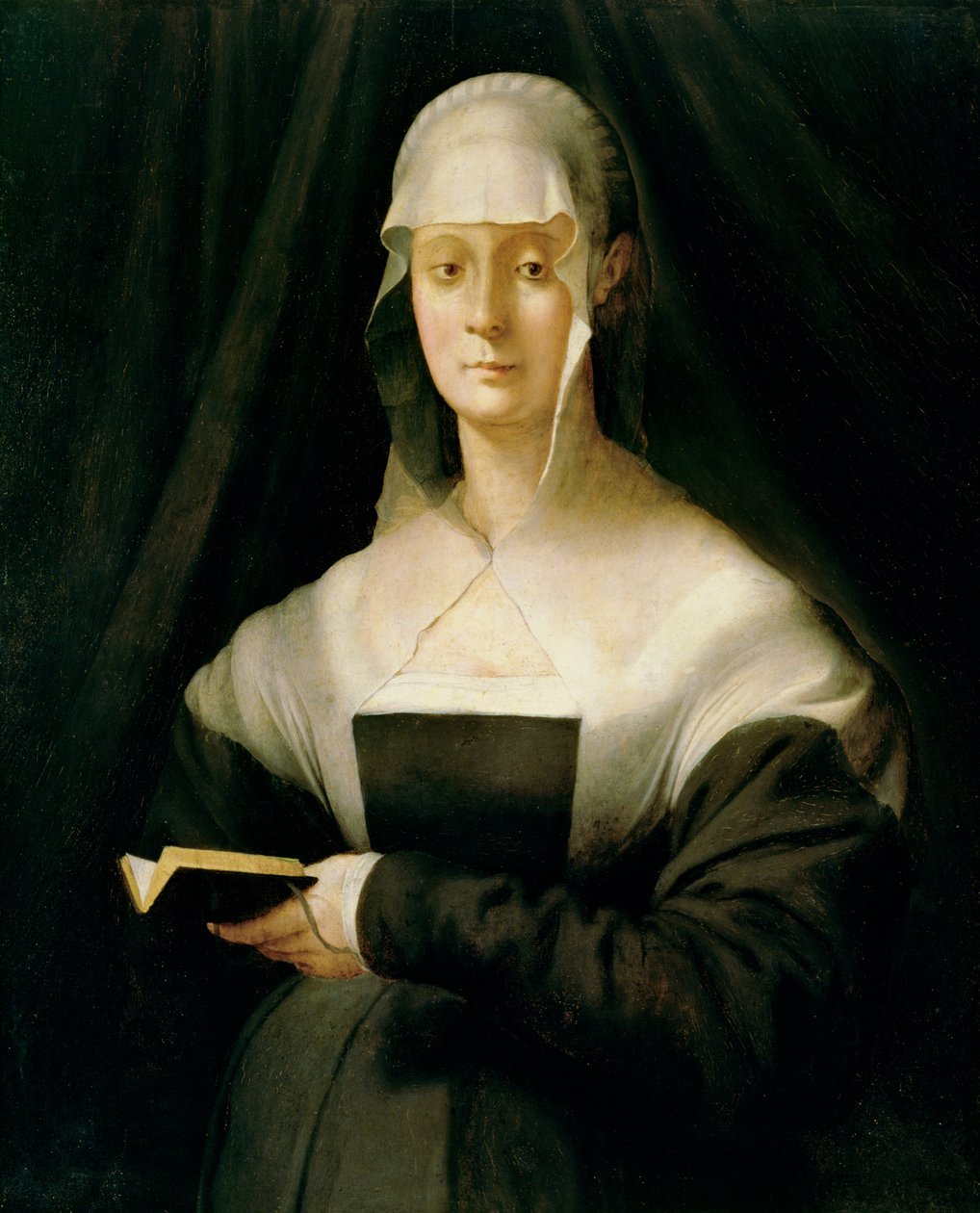 Maria Salviatin muotokuva, 1543 tekijältä Jacopo Pontormo
