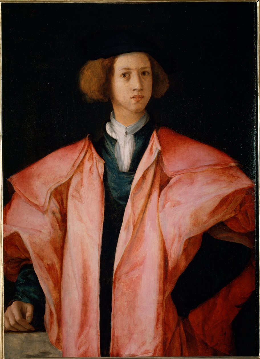 Nuoren miehen muotokuva luultavasti Alessandro de Medicis - öljy paneelille tekijältä Jacopo Pontormo