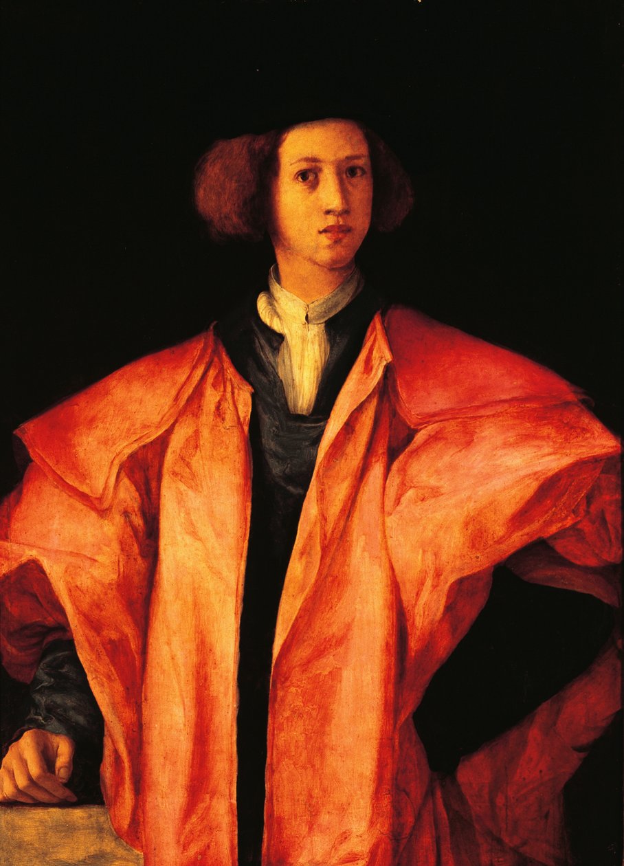 Nuoren miehen muotokuva, ehkä Amerigo Antinori, n. 1530, Jacopo Carucci, joka tunnetaan nimellä Pontormo (1494-1557), öljy paneelille tekijältä Jacopo Pontormo